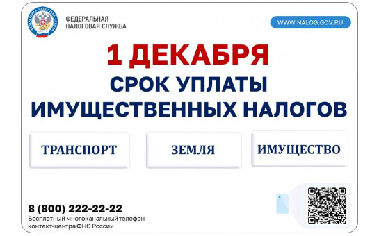 Информация об оплате имущественных налогов не позднее 1 декабря